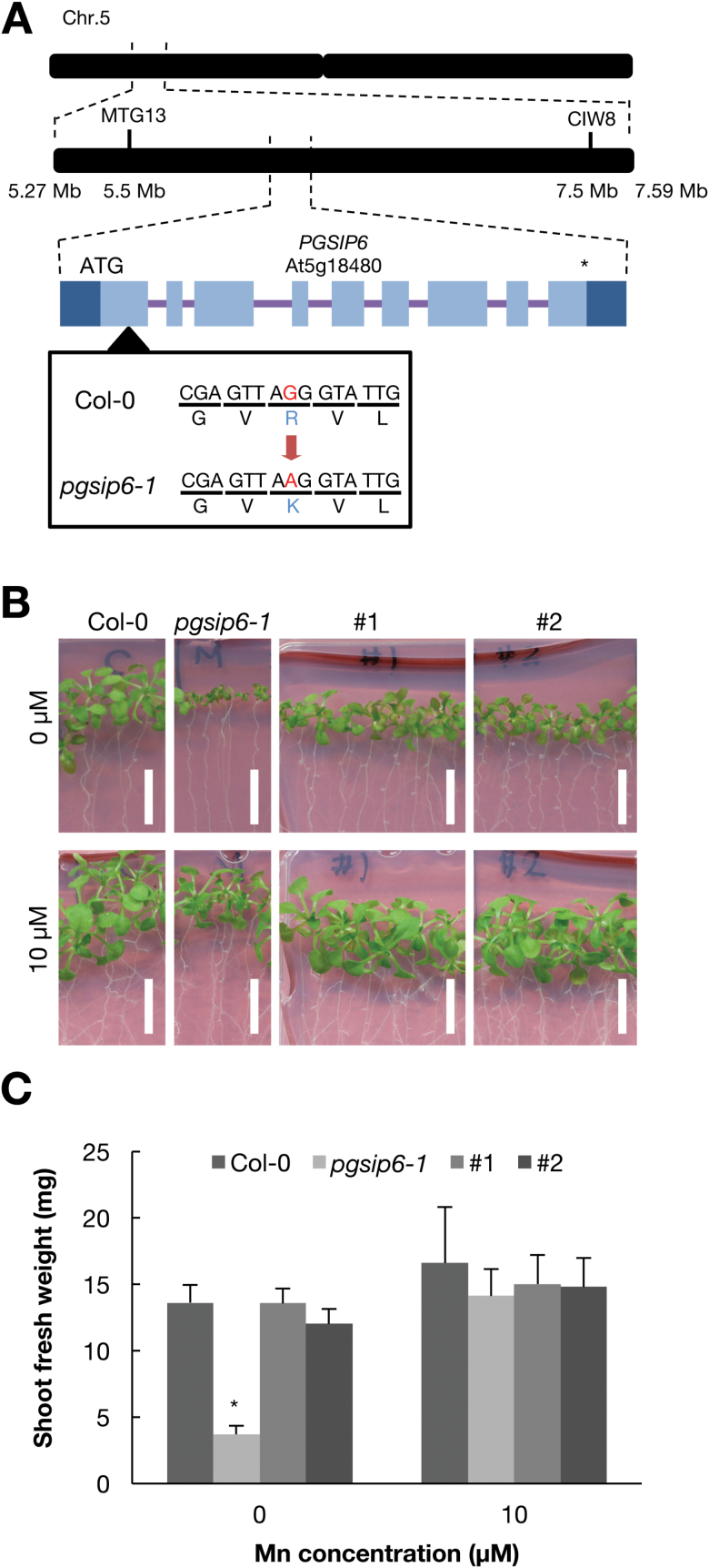 Fig. 4.