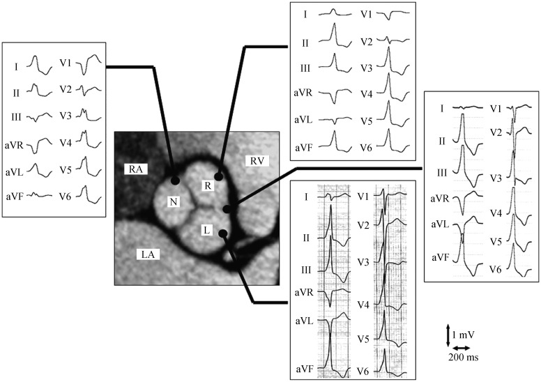 Figure 10.