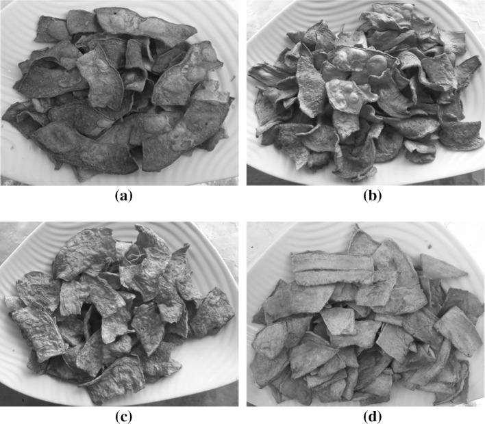 Fig. 1