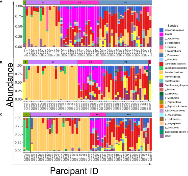 Figure 2