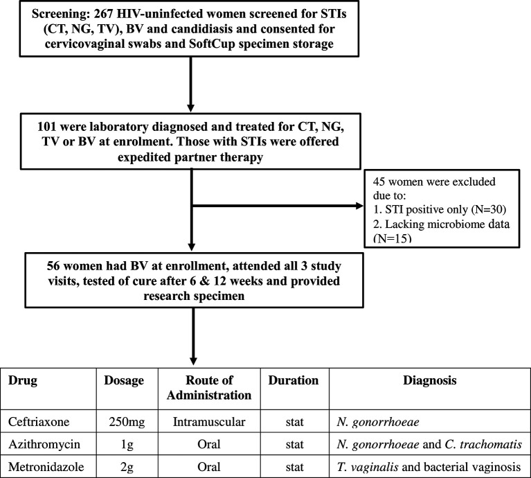 Figure 1