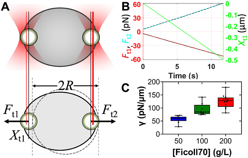 Figure 3.