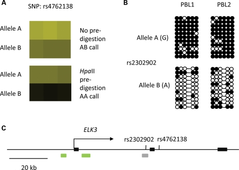 Figure 1.