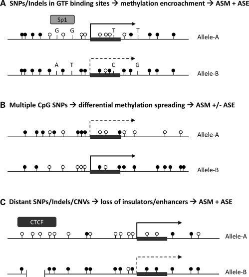 Figure 2.