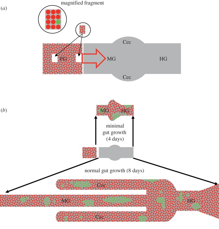 Figure 1.