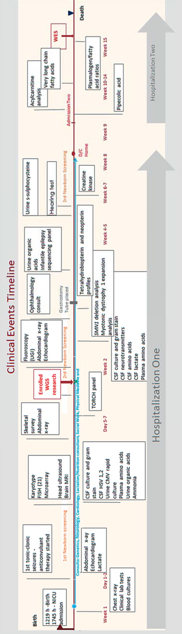 Diagnosis of D-Bifunctional Protein Deficiency through Whole-Genome ...