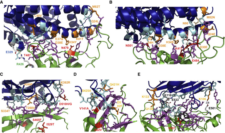 Figure 3