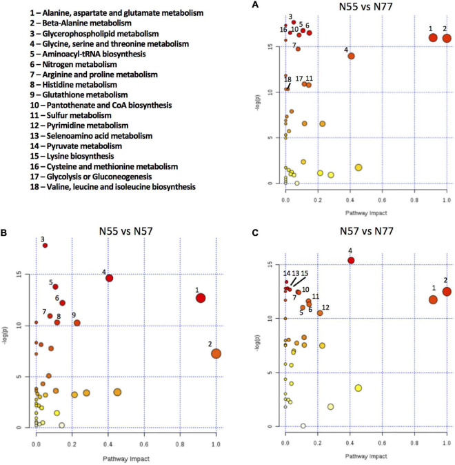 FIGURE 6