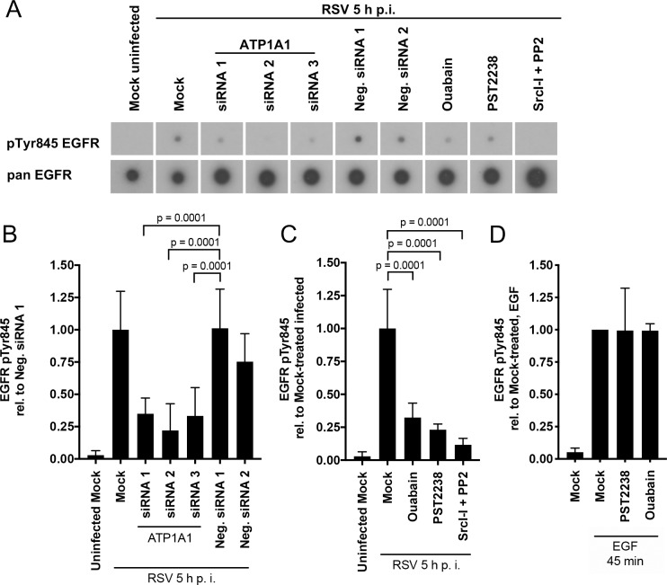 Fig 8