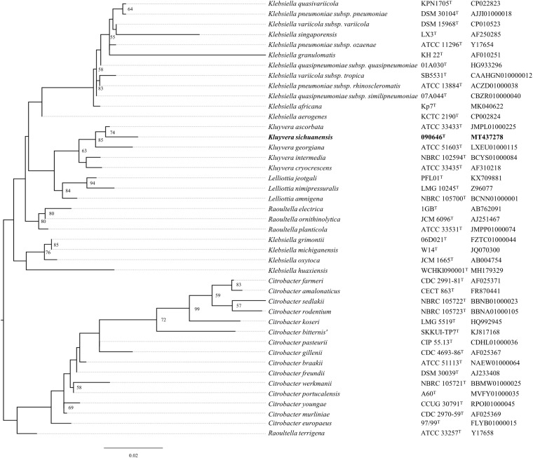 FIGURE 1