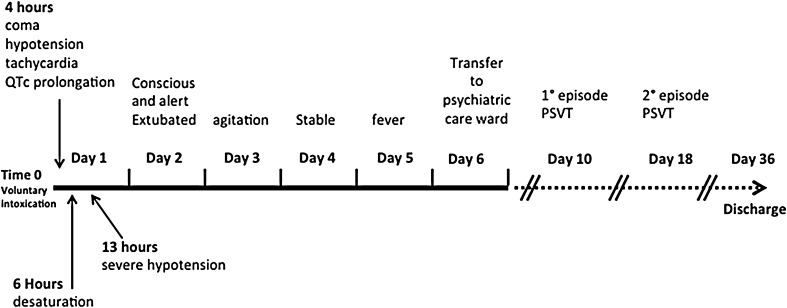 Fig. 1