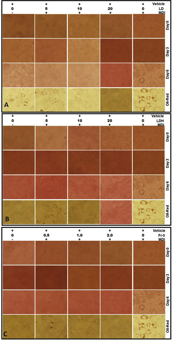 graphic file with name figs1.jpg