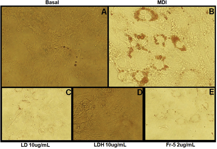 Fig. 4