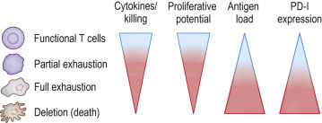 FIG 25.4