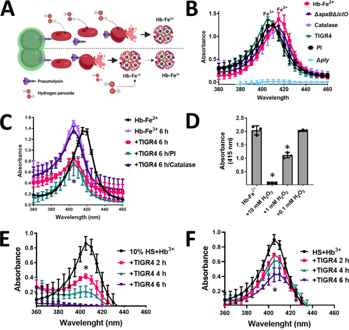 FIG 6