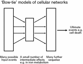 Fig. 10