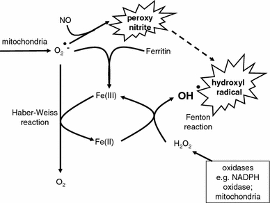 Fig. 1