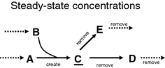 Fig. 13