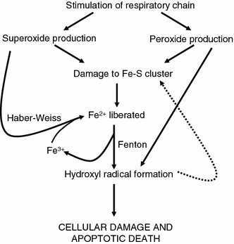 Fig. 9