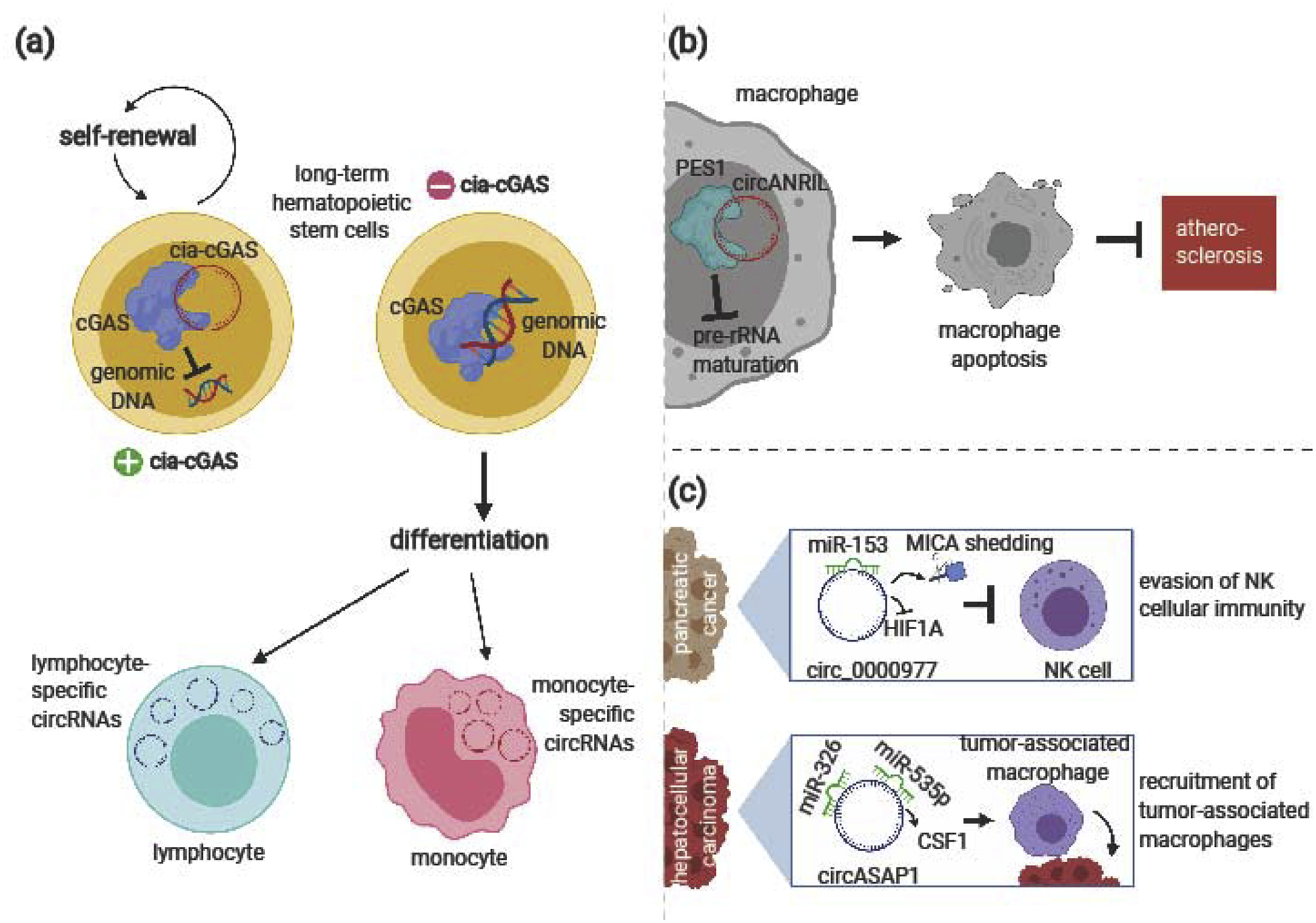 Figure 2: