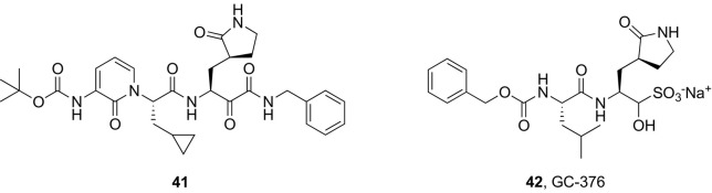 Fig. 10