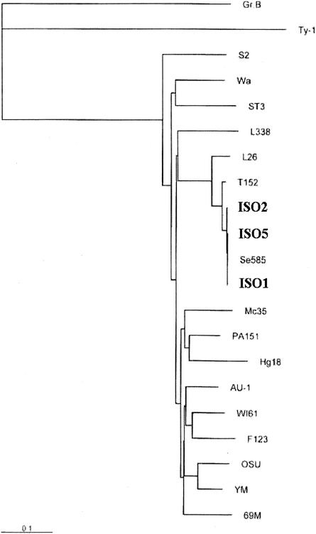 FIG. 1.