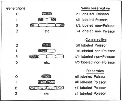 graphic file with name pnas00134-0323-a.jpg