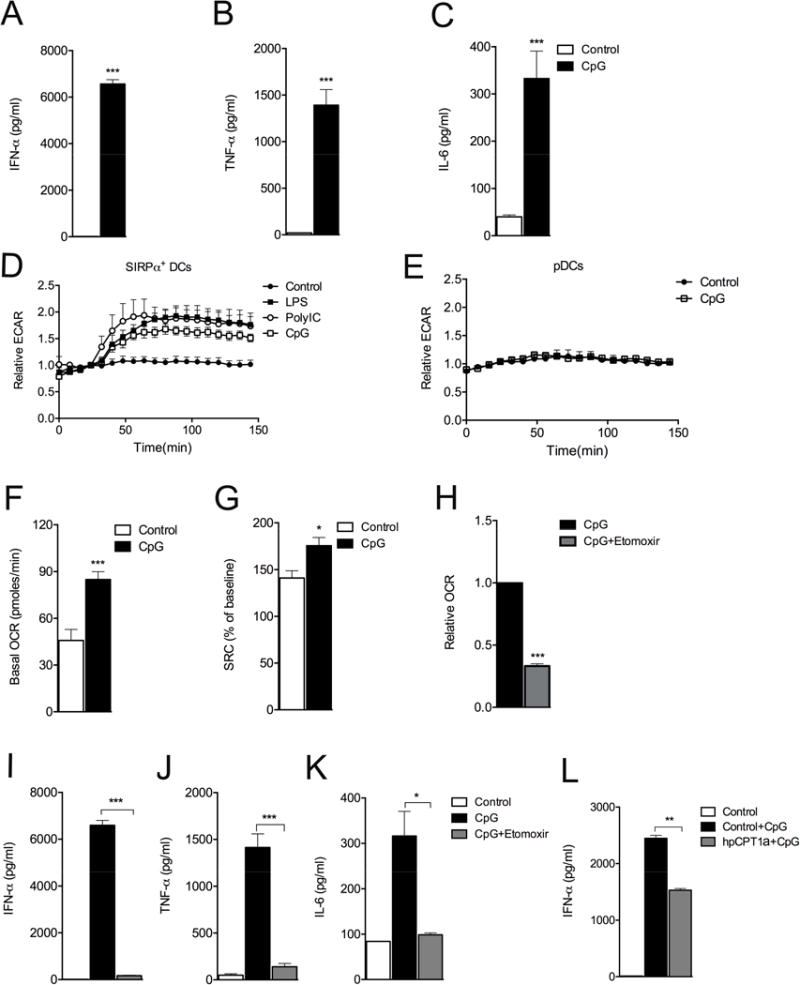 Type 1 interferons induce changes in core metabolism that are critical ...