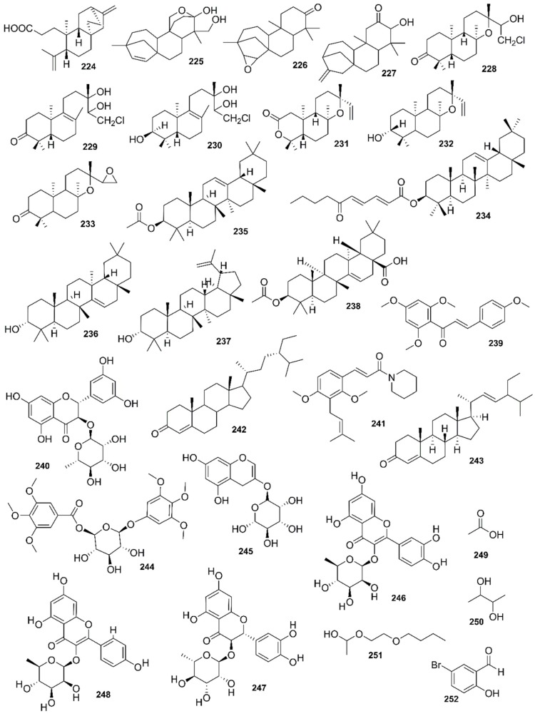 Figure 22