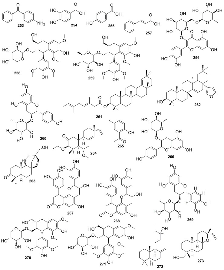 Figure 23