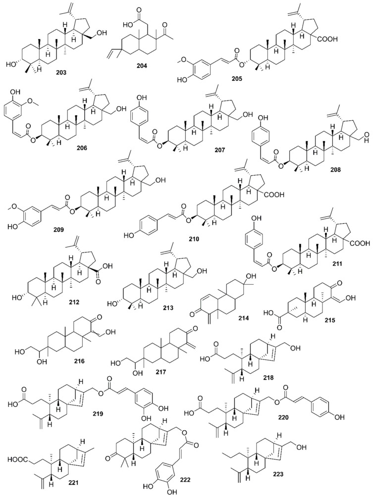 Figure 21