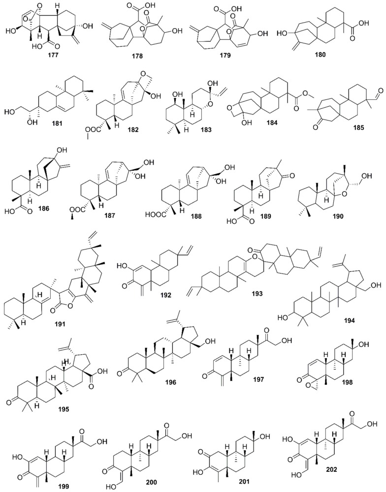 Figure 20