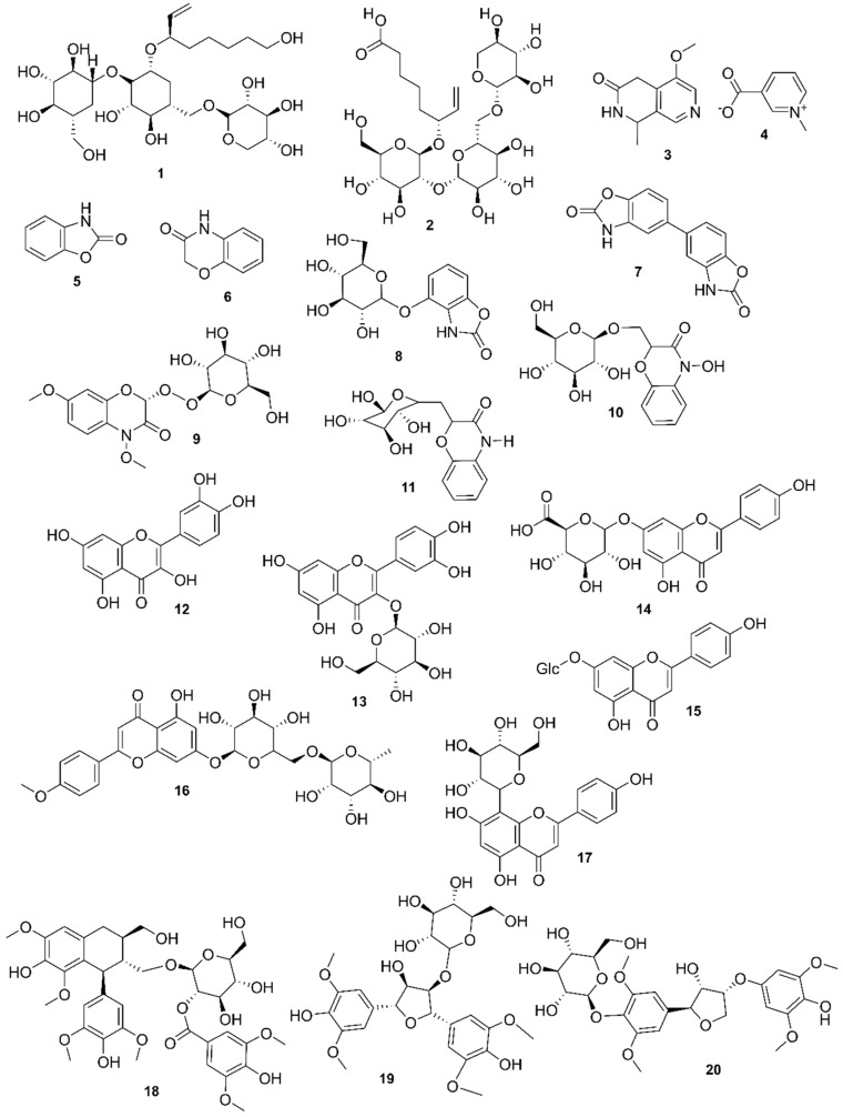 Figure 11