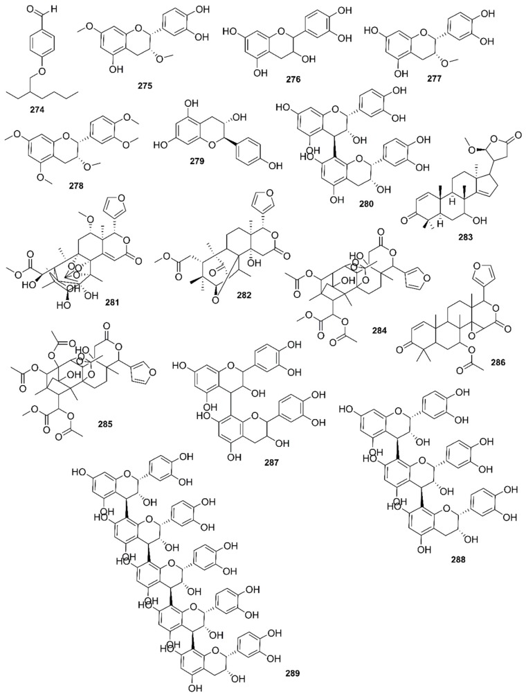 Figure 24