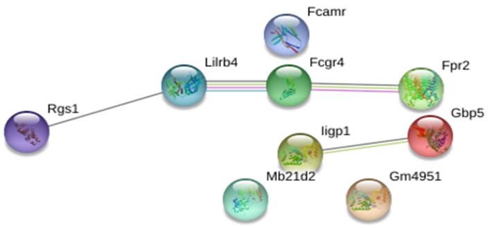 Figure 5