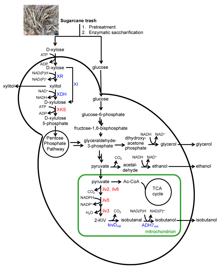 Figure 1