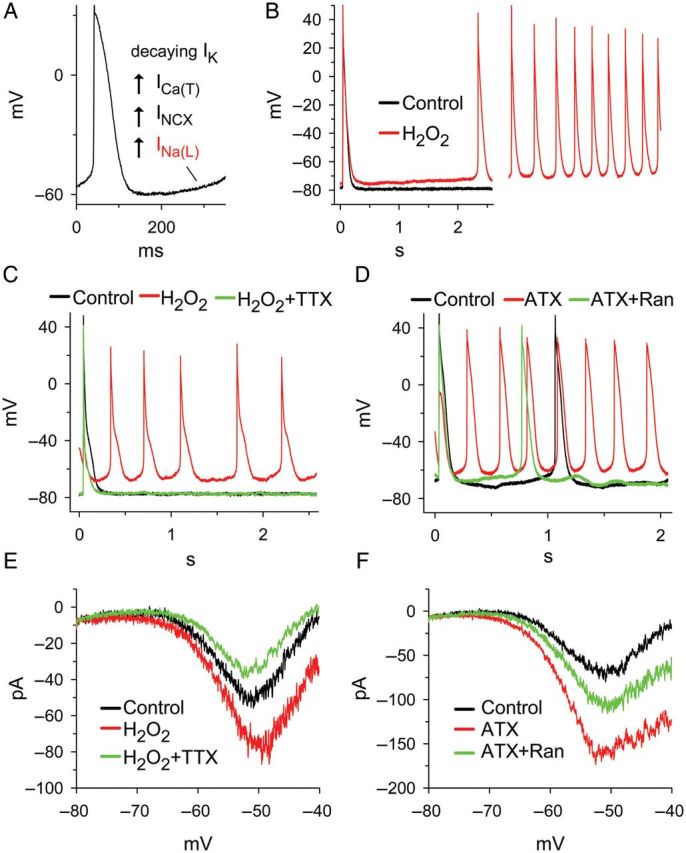 Figure 2