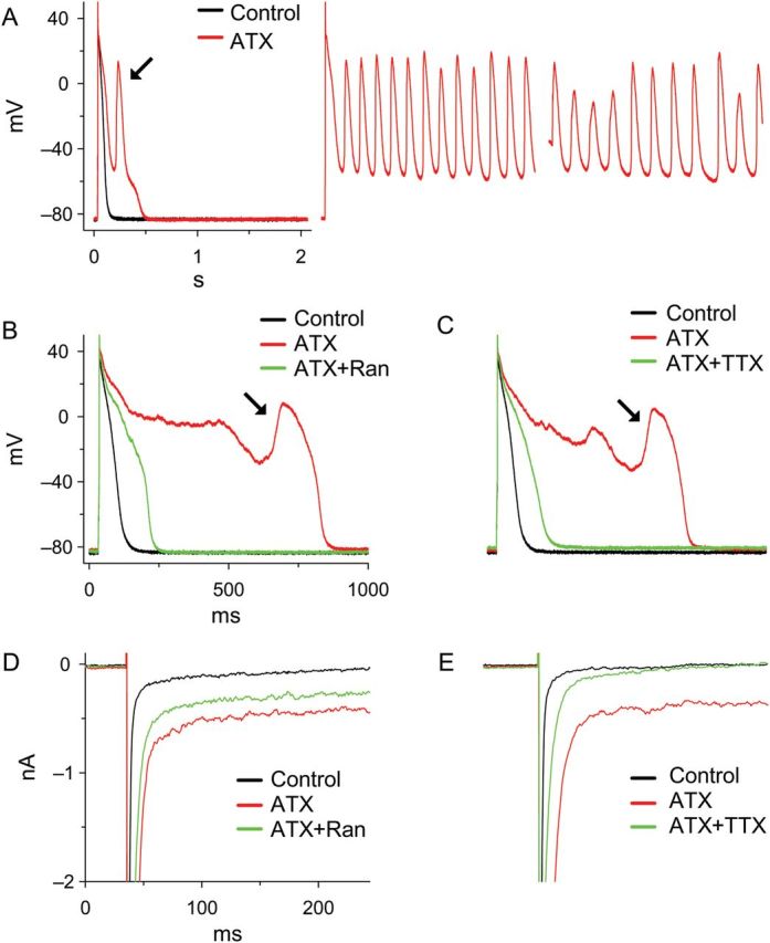 Figure 3