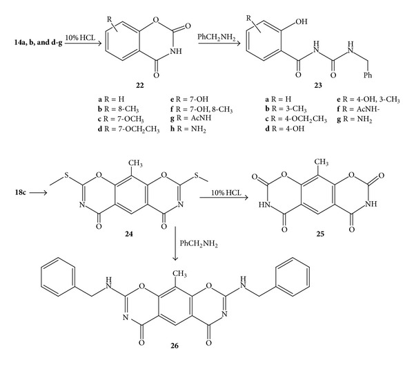 Scheme 5