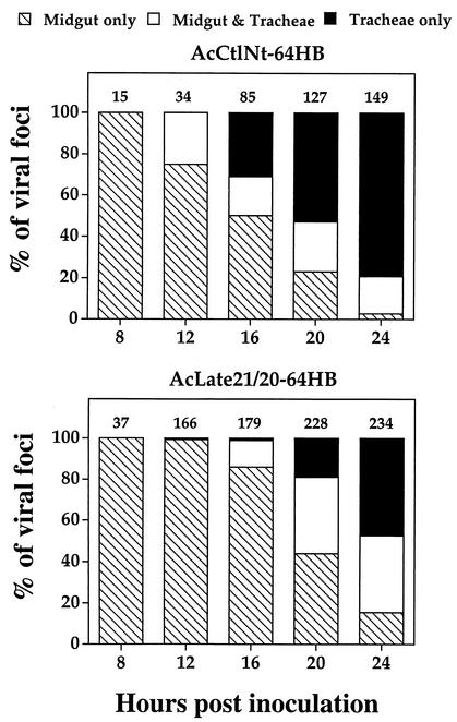 FIG. 8.