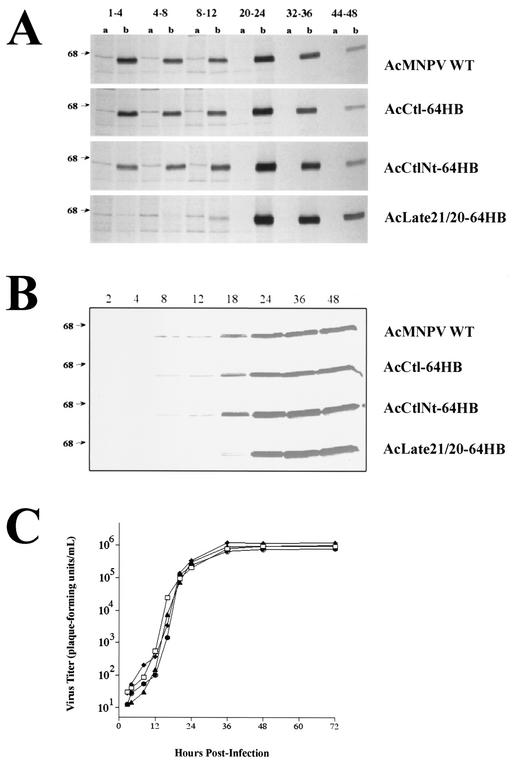 FIG. 4.