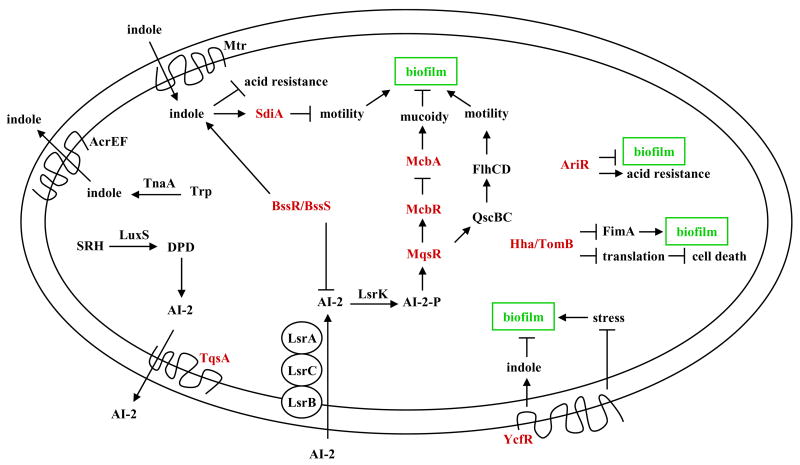 Fig. 2