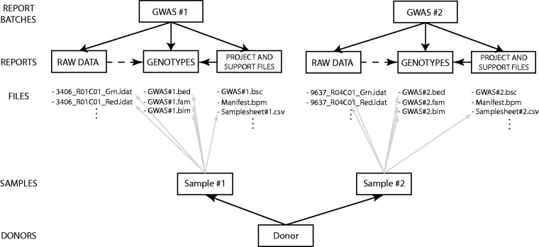 Figure 7.