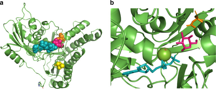 Fig. 2