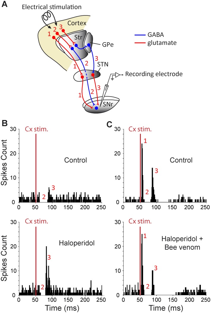 Fig 4