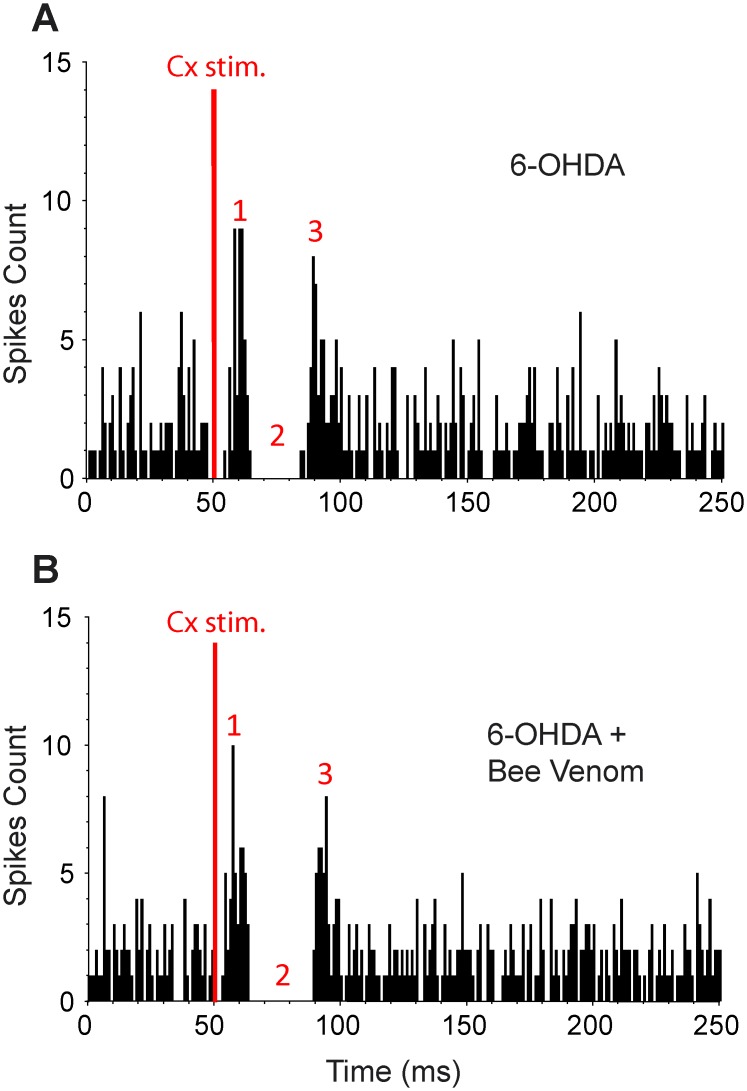 Fig 6