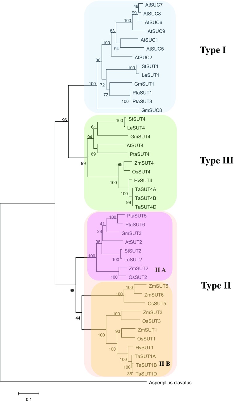 Figure 1.