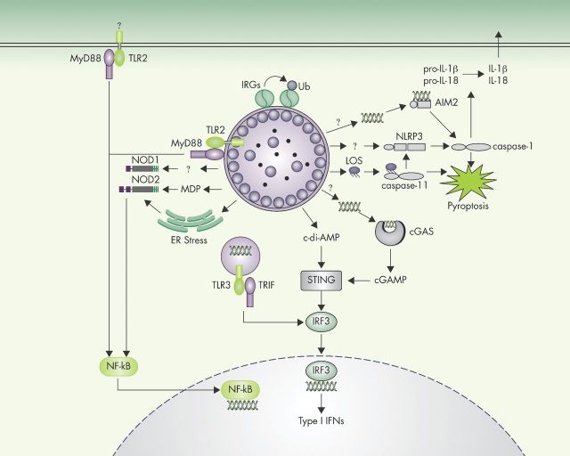 Figure 1.