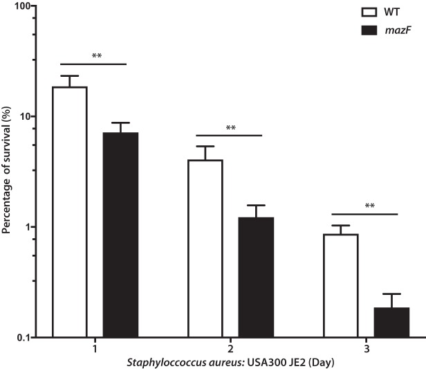 FIG 3