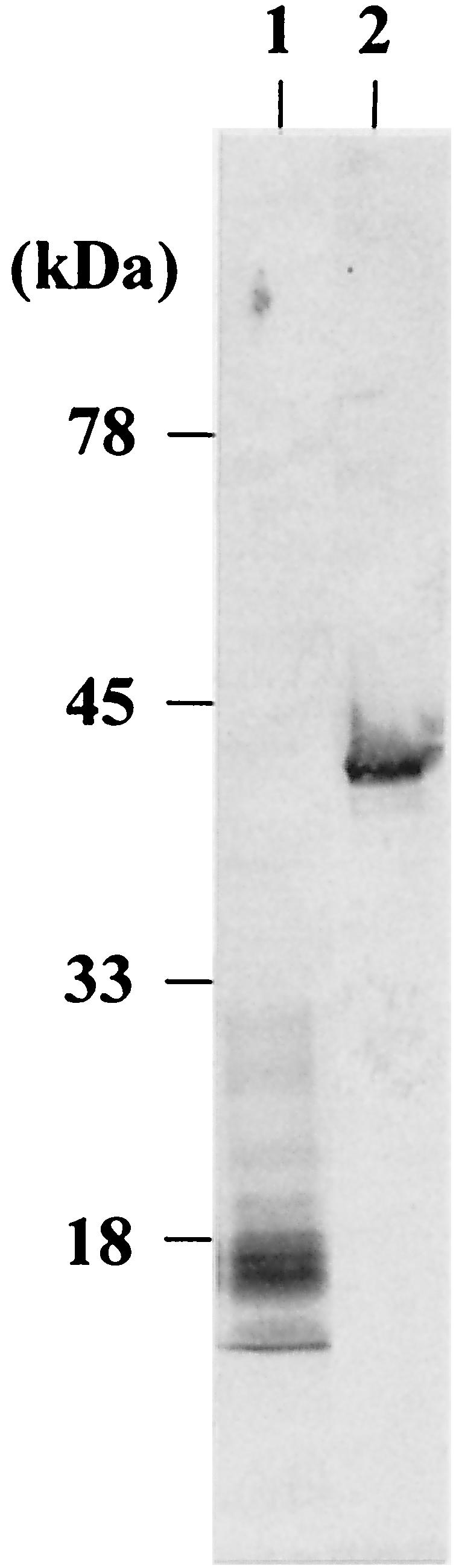 FIG.3.